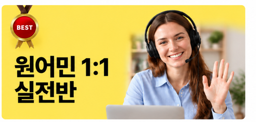 원어민 1:1 실전반